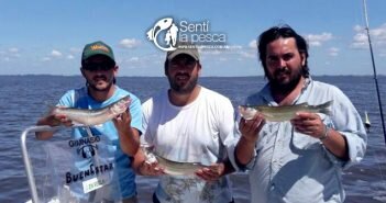 170320 KAYAKFISHING Y EMBARCADOS MELINCUE dest