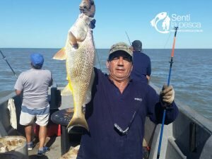 170321 PESCA EN PEHUEN CO3