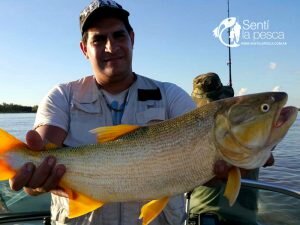 170328 PESCANDO EN CORRIENTES (8)