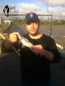 170329 PESCA DE VARIADA EN EL CLUB UNIVERSITARIO7