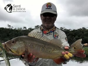 170330 PESCA EN RIO MATAVEN COLOMBIA10