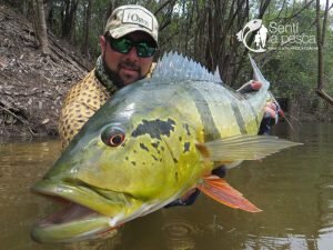 170330 PESCA EN RIO MATAVEN COLOMBIA15