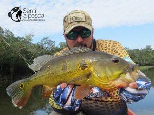 170330 PESCA EN RIO MATAVEN COLOMBIA4