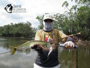 170330 PESCA EN RIO MATAVEN COLOMBIA7