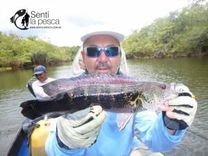 170330 PESCA EN RIO MATAVEN COLOMBIA8