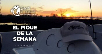 EL PIQUE SEMANA dest15