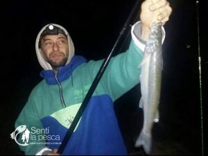 PESQUERO TAPERA