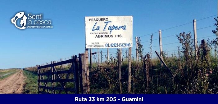 PESQUERO TAPERA DESTACADA