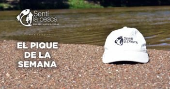 31/03/17 El Pique de la Semana PIQUE DE LA SEMANA dest33