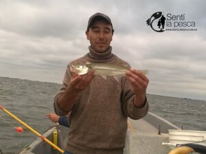 170403 EMABRCADOS EN GUAMINI3