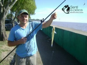 170407 DE COSTA EN PUNTA LARA4