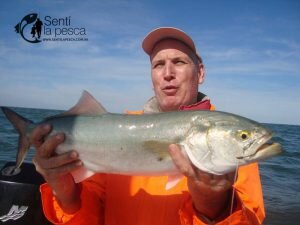 170407 EMBARCADOS EN ALBUFERA10