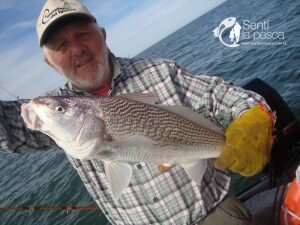 170407 EMBARCADOS EN ALBUFERA6