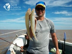 170407 PEJES EN BERISSO1