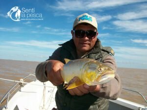 170407 PEJES EN BERISSO2