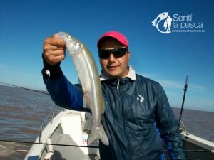 170407 PEJES EN BERISSO8