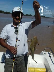 170407 PESCA EN ZARATE7