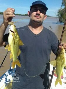 170407 PESCA EN ZARATE8