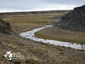 170412 PESCA EN EL PARAISO DE STROBEL4