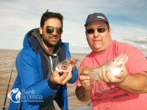 170417 LLEGARON LOS BUENOS PEJES