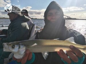 170417 PEJES EN LAG LA SOL3