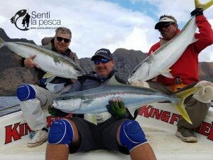 170421 FISHING TOUR ROBINSON16
