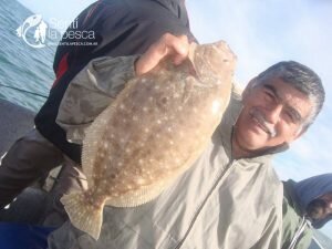 170424 CORVINAS FIRMES EN ALBUFERA6