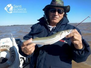 170424 EMBARCADOS EN QUILMES1