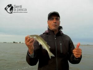170424 PEJES EN LAG DE GOMEZ (3)
