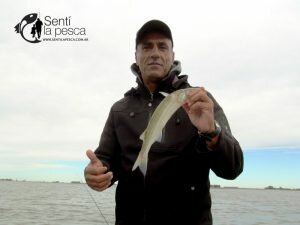 170424 PEJES EN LAG DE GOMEZ (8)