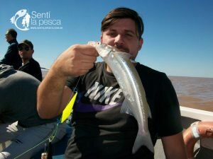 170425 PEJES DE BERISSO