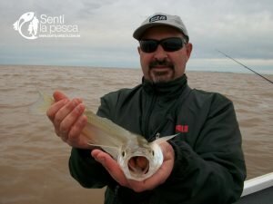 170425 PEJES DE BERISSO3