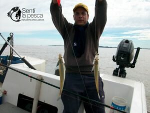 170425 PEJES DE BERISSO7