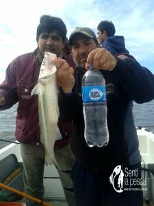 170425 PEJES EN LAG DE GOMEZ4