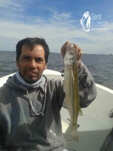 170425 PEJES EN LAG DE GOMEZ6