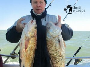 170425 PESCA DE ALTURA EN MDQ