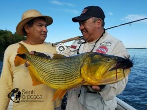 170426 DORADOS EN ITATI1