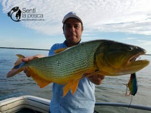 170426 DORADOS EN ITATI3