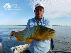 170426 DORADOS EN ITATI5