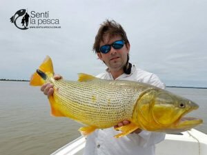 170426 DORADOS EN ITATI7