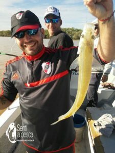170426 PEJES EN NUEVA PALMIRA (2)