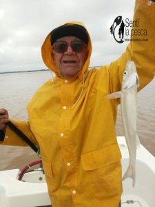 170426 PEJES EN NUEVA PALMIRA