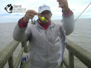170426 PIQUE EN LA TOMA4
