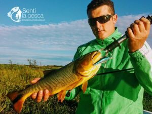 170427 BUENA PESCA EN ROSARIO