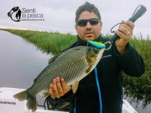 170427 BUENA PESCA EN ROSARIO6
