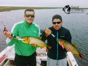 170427 BUENA PESCA EN ROSARIO7