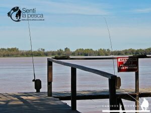 170427 RELEVANDO CAMPING IPONA GUAZU8