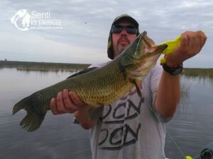 JC PESCA (11)