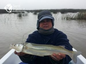 JC PESCA