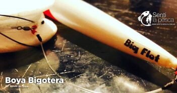 LINEA BOYA BIGOTERA dest